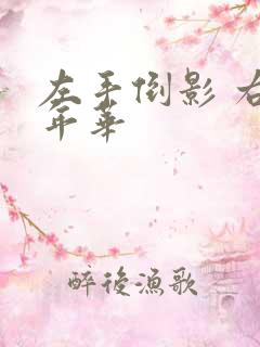 左手倒影 右手年华