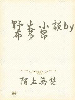 野火小说by夏布多昂