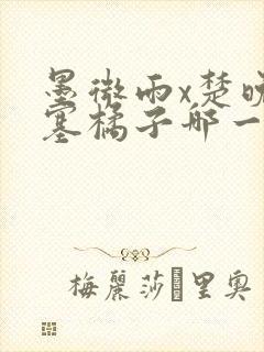 墨微雨x楚晚宁塞橘子哪一章