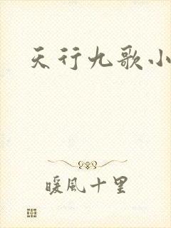 天行九歌小说