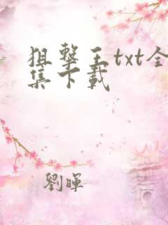 狙击王txt全集下载