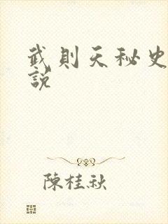 武则天秘史 小说