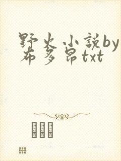 野火小说by夏布多昂txt