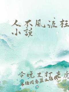 人不风流枉少年小说