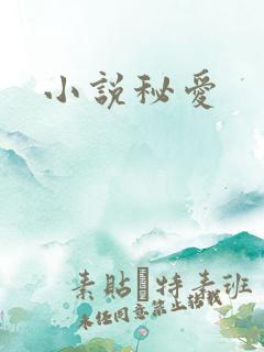 小说秘爱