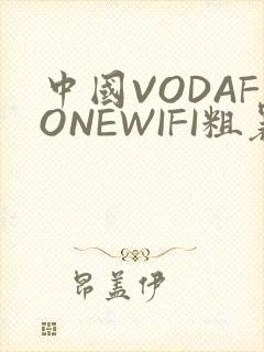 中国VODAFONEWIFI粗暴APP