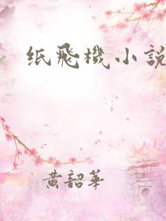 纸飞机小说