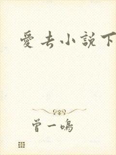 爱去小说下载网