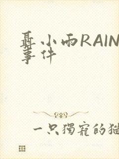 聂小雨RAIN事件