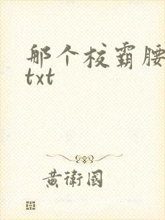 那个校霸腰好软txt