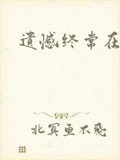 遗憾终常在小说