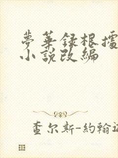 梦华录根据什么小说改编