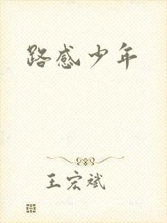 路感少年