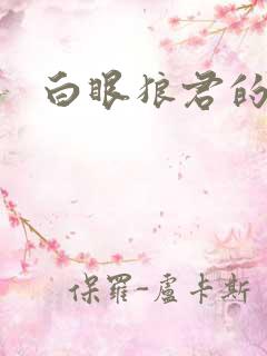 白眼狼君的小说