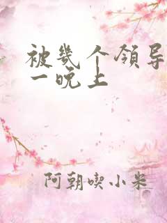 被几个领导玩弄一晚上