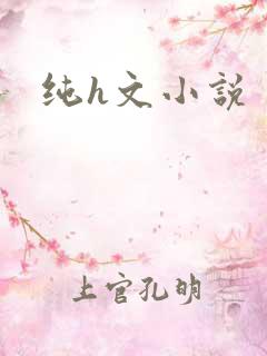 纯h文小说