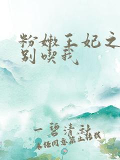 粉嫩王妃之殿下别吃我