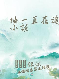 他一直在追初恋小说