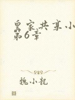 皇家共享小公主第6章