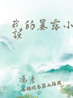 我的暴露小说小说