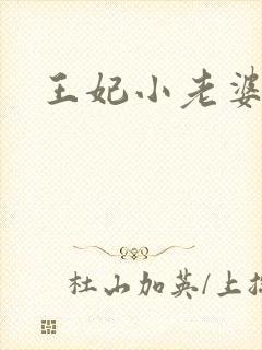 王妃小老婆