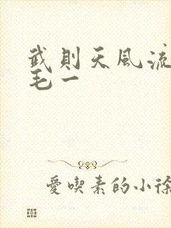 武则天风流艳情毛一