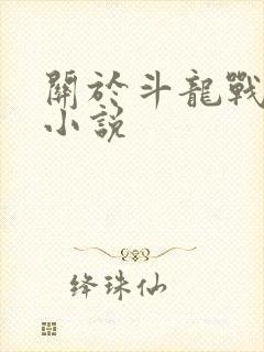 关于斗龙战士的小说