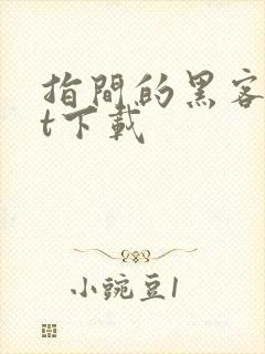 指间的黑客txt下载