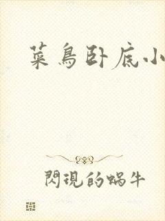 菜鸟卧底小正太