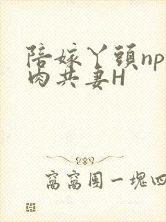陪嫁丫头np全肉共妻H