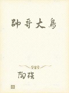 帅哥大鸟
