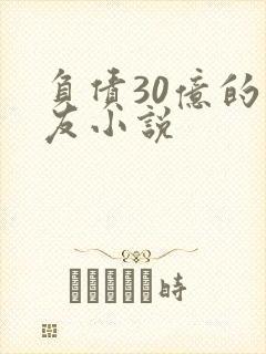 负债30亿的男友小说