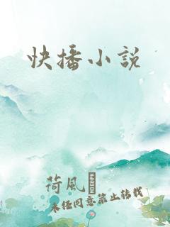 快播小说