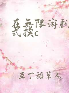 在无限游戏里花式挨c