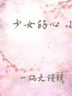 少女的心 小说
