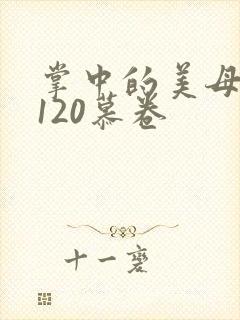 掌中的美母版主120慕卷
