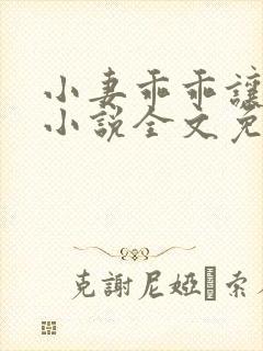 小妻乖乖让我宠小说全文免费阅读