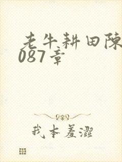 老牛耕田陈雪1087章