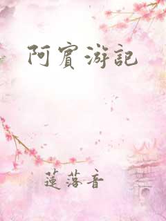 阿宾游记