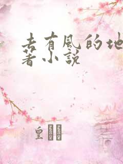 去有风的地方原著小说