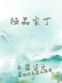 极品家丁
