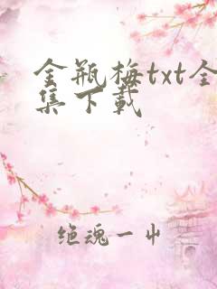 金瓶梅txt全集下载