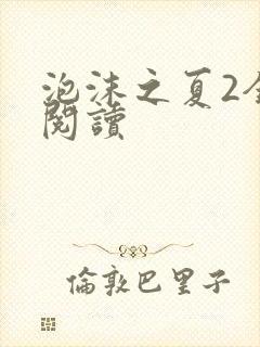 泡沫之夏2全文阅读