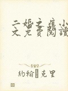 二婚之痒小说全文免费阅读