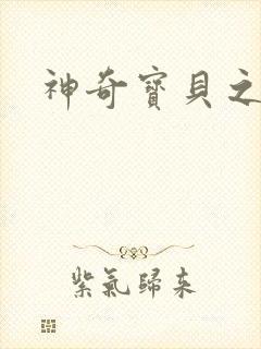 神奇宝贝之小洛