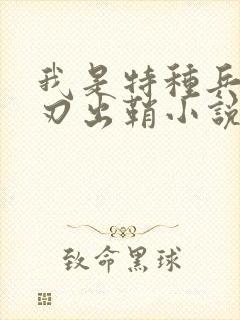 我是特种兵之利刃出鞘小说