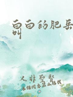 白白的肥岳嗷嗷叫