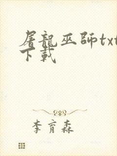 屠龙巫师txt下载