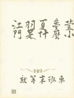 江羽夏梦莹神谕门是什么小说