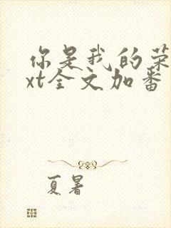 你是我的荣耀txt全文加番外